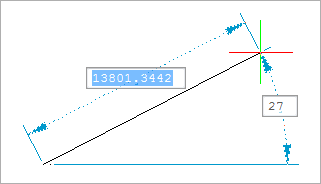 Anzeige der dynamischen Eingabe